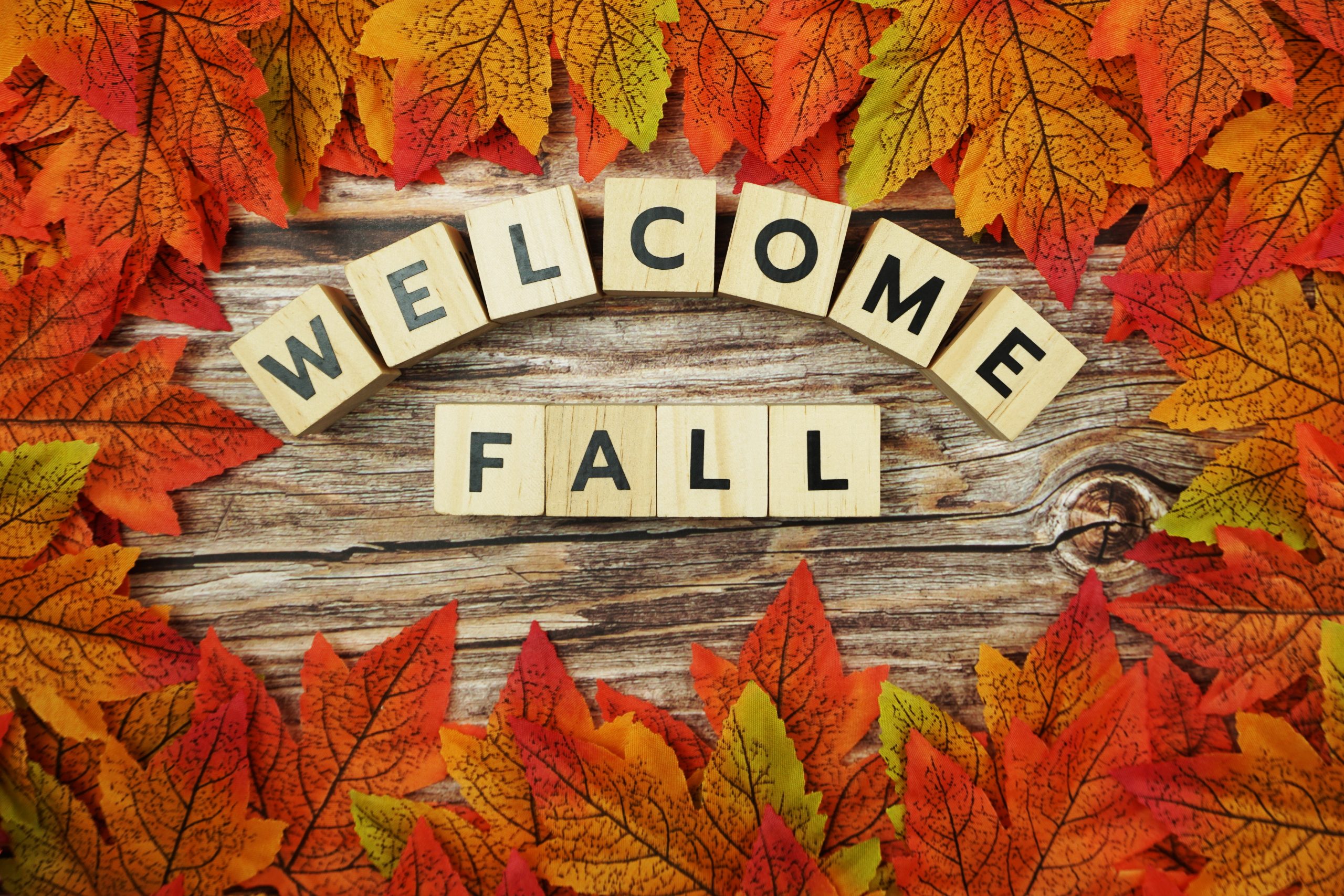 Welcome Fall